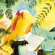 Image for article titled Astonishingly Lovely Illustrations from the 1949 Alice in Wonderland Edition